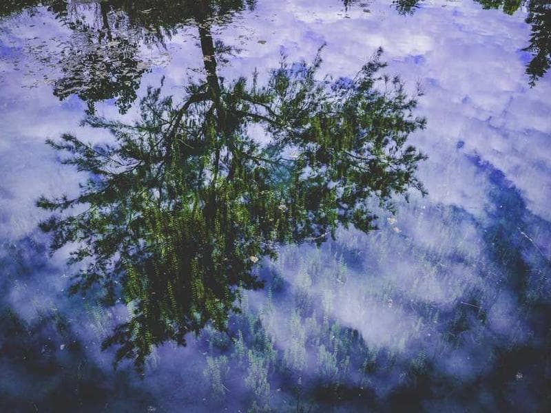 Kasarani - Street Market