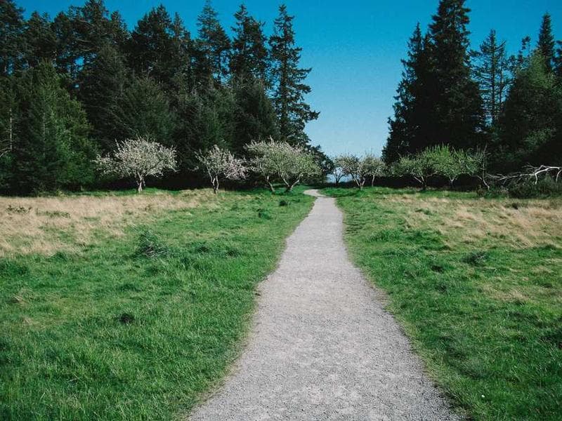 Kilimani - Yaya Centre