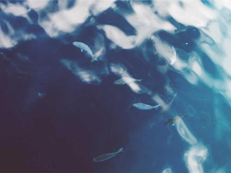 Lavington - Lavington Mall