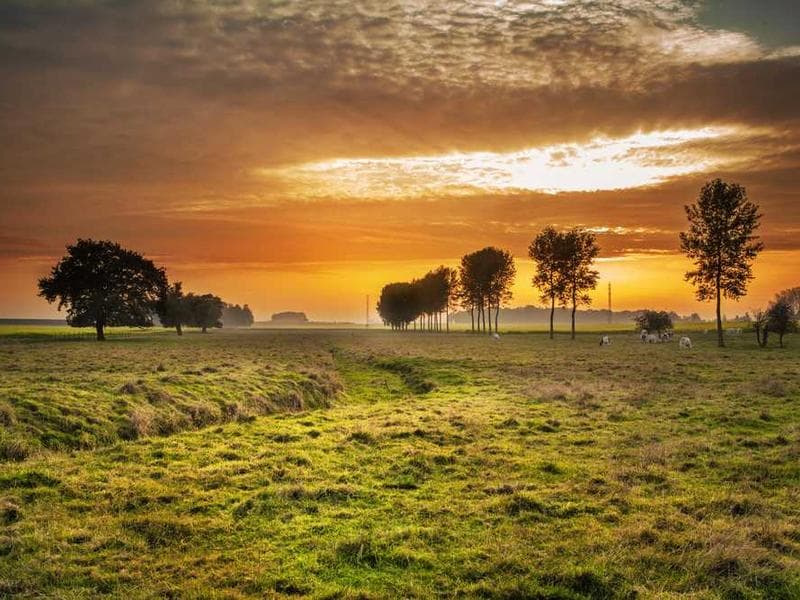 Lavington - Garden Estate