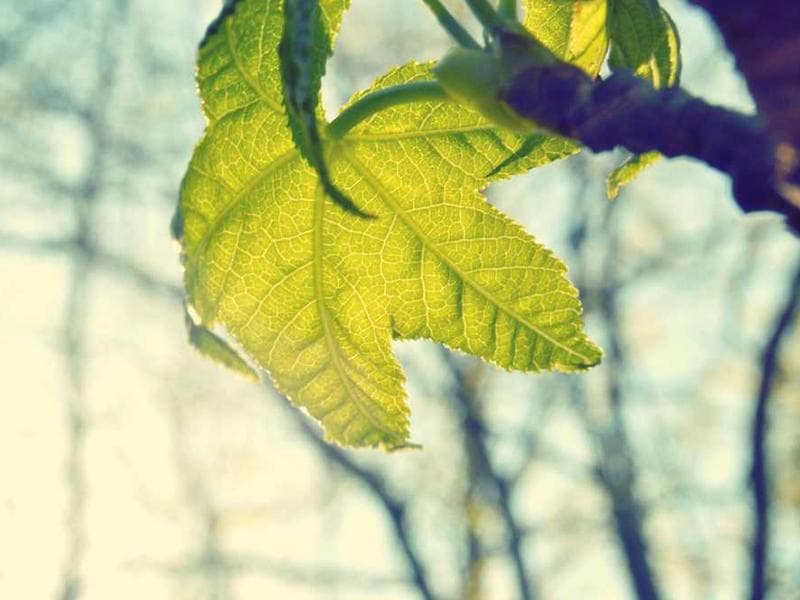 Ongata Rongai - Maasai Mall